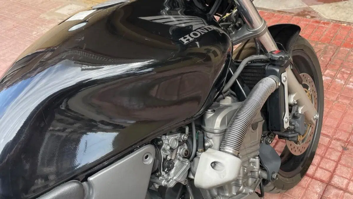 Honda Hornet 600 (2000 - 02)  (12)