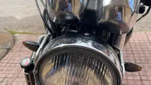 Honda Hornet 600 (2000 - 02)  (15)