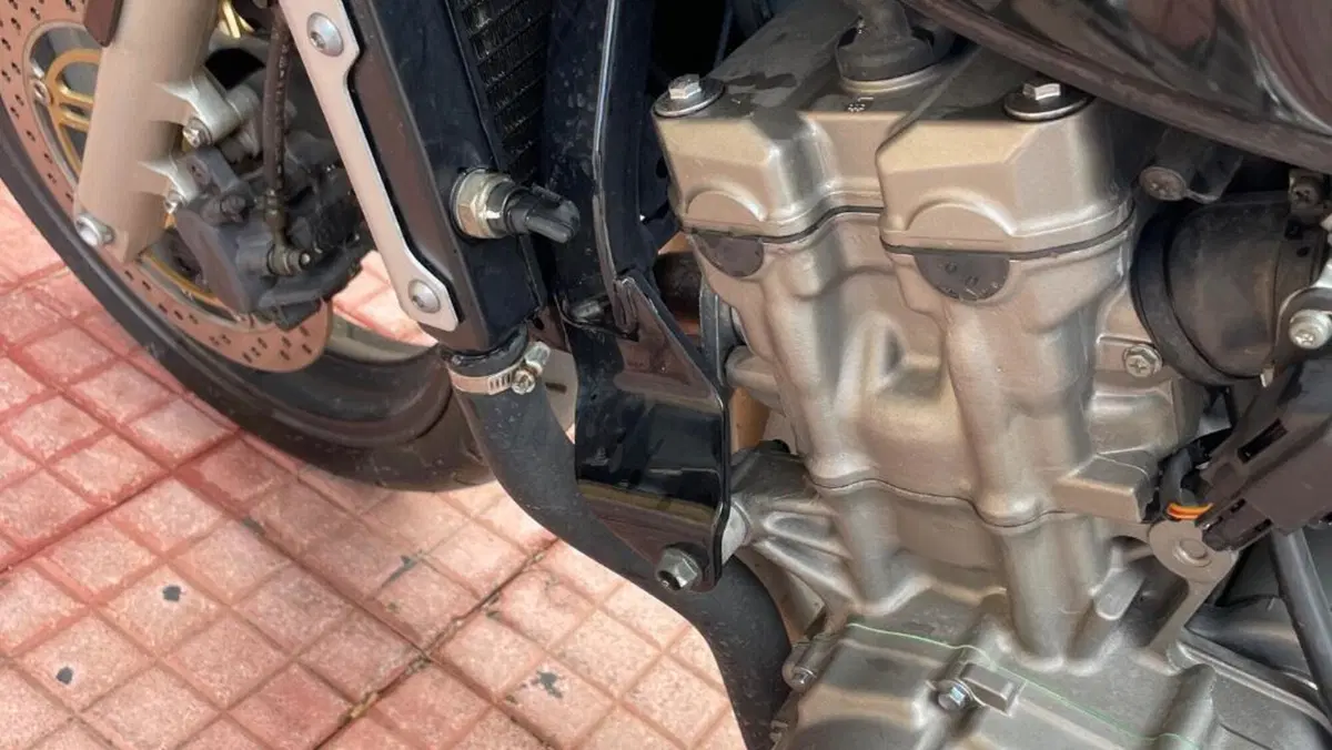 Honda Hornet 600 (2000 - 02)  (17)