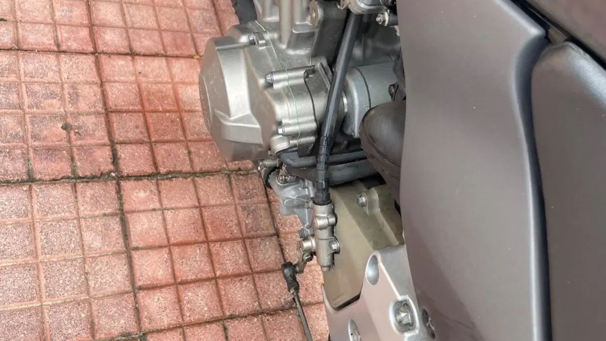 Honda Hornet 600 (2000 - 02)  (18)