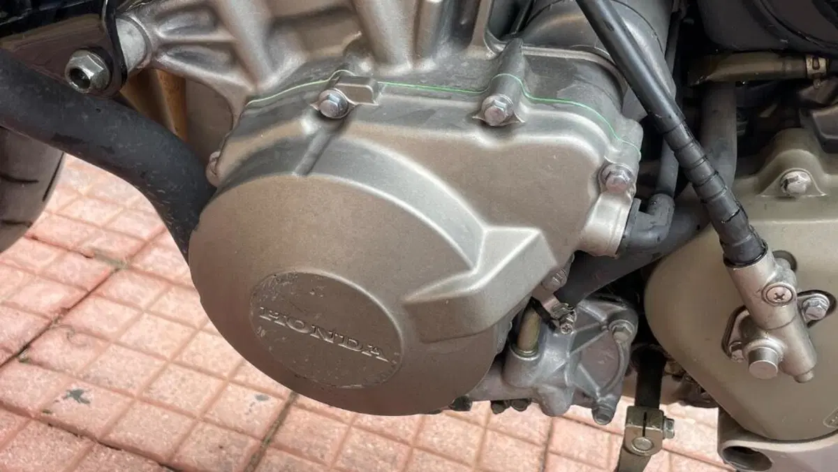 Honda Hornet 600 (2000 - 02)  (19)
