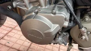 Honda Hornet 600 (2000 - 02)  (19)