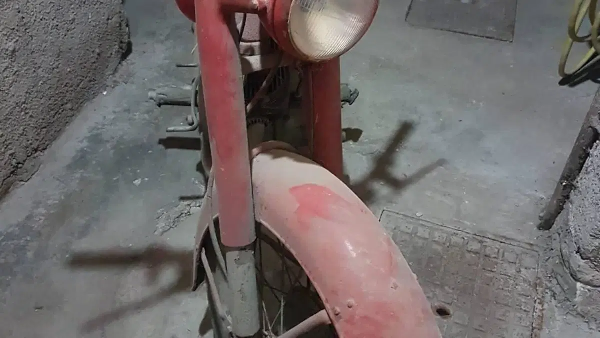 Ducati   (5)