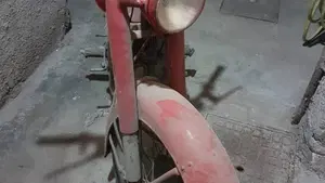 Ducati   (5)