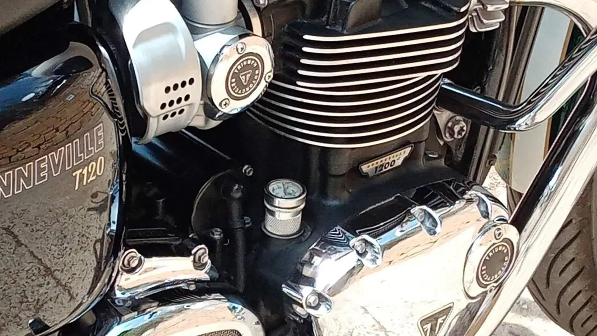 Triumph Bonneville T120 (2016 - 20)  (8)