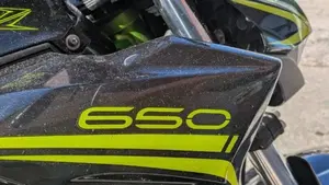 Kawasaki Z 650 (2021 - 24)  (3)