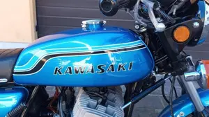 Kawasaki   (14)