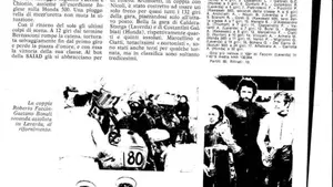 Triumph   (5)