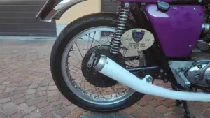 Triumph   (7)