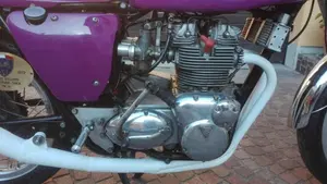 Triumph   (8)