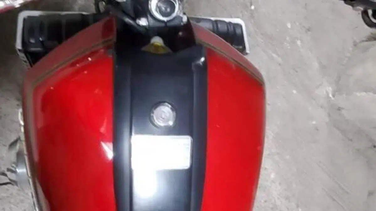Suzuki   (2)
