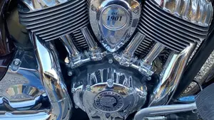 Indian Chief Vintage (2021)  (10)