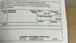 Ducati Multistrada V4 S (2021 - 24)  (11)