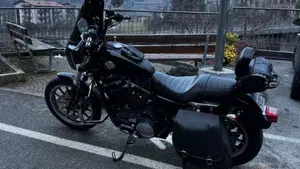 Harley-Davidson 883 R (2008 - 16) - XL 883R  (3)