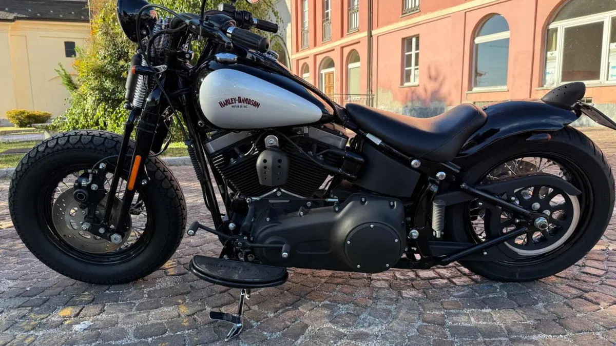 Harley-Davidson 1584 Cross Bones (2008 - 11) - FLSTSB  (2)