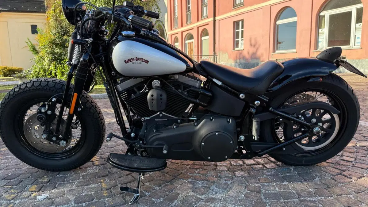 Harley-Davidson 1584 Cross Bones (2008 - 11) - FLSTSB  (3)