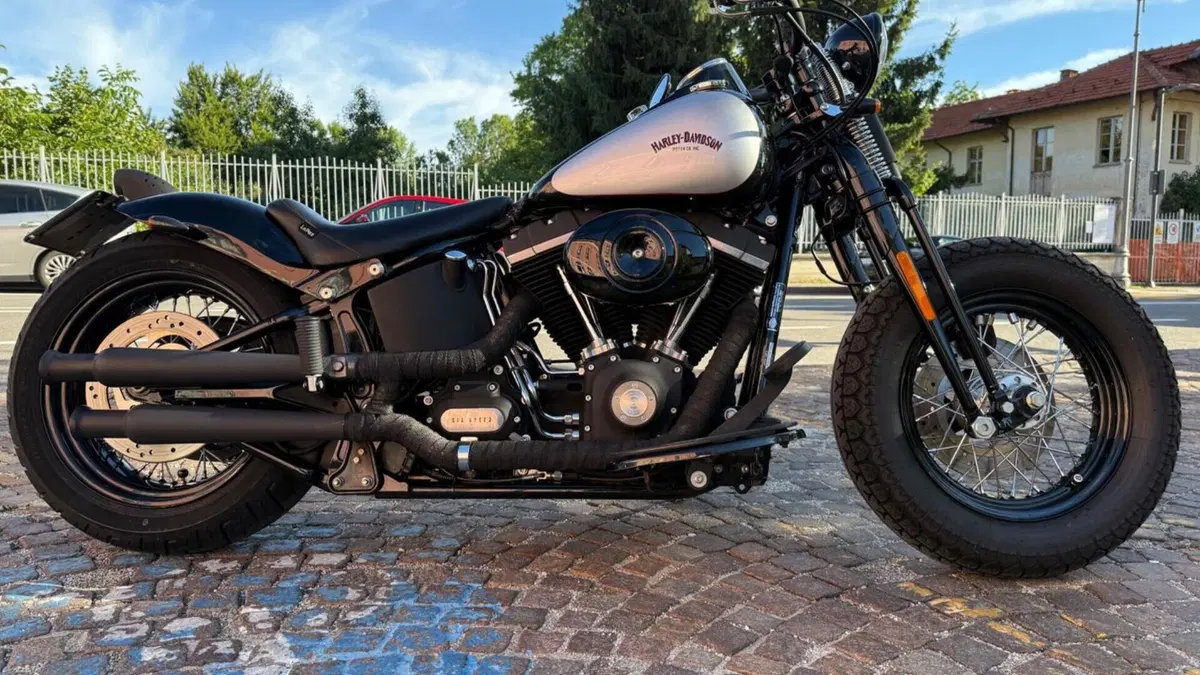 Harley-Davidson 1584 Cross Bones (2008 - 11) - FLSTSB  (4)