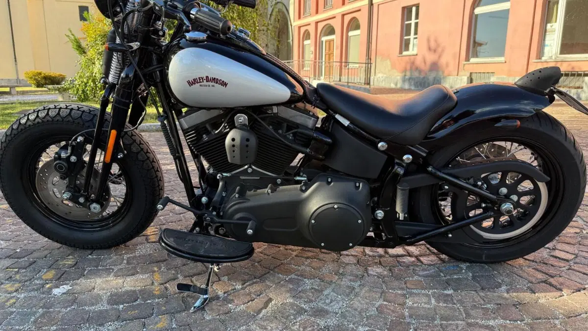 Harley-Davidson 1584 Cross Bones (2008 - 11) - FLSTSB  (6)