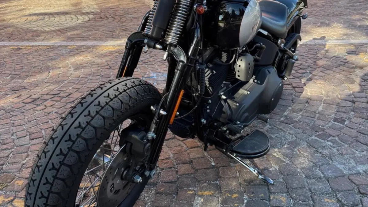 Harley-Davidson 1584 Cross Bones (2008 - 11) - FLSTSB  (7)