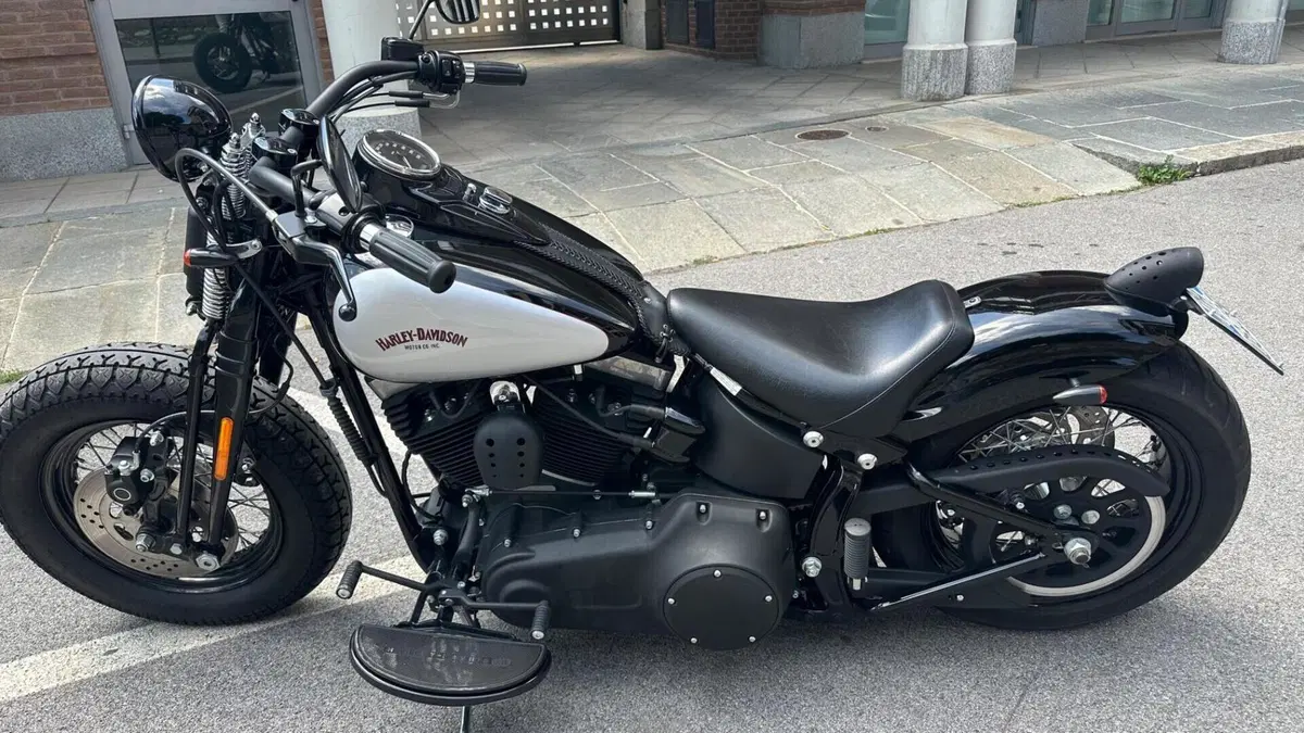 Harley-Davidson 1584 Cross Bones (2008 - 11) - FLSTSB  (8)
