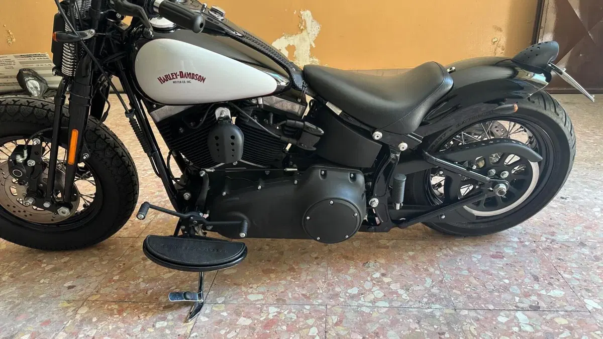 Harley-Davidson 1584 Cross Bones (2008 - 11) - FLSTSB  (9)