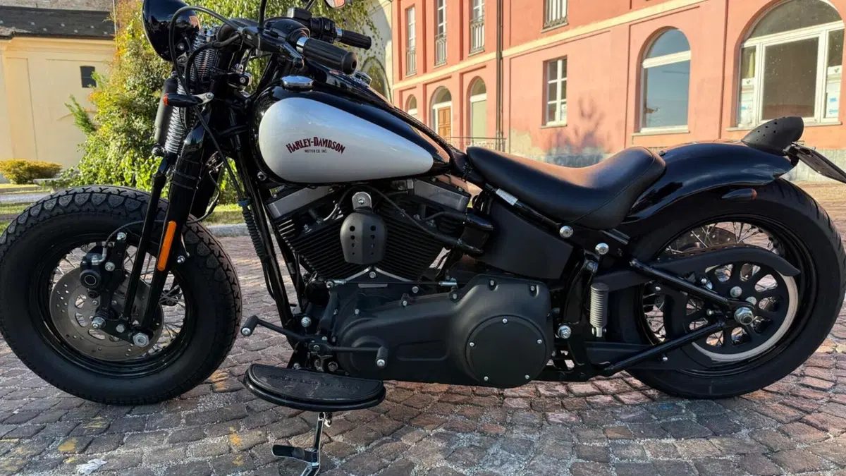 Harley-Davidson 1584 Cross Bones (2008 - 11) - FLSTSB  (11)