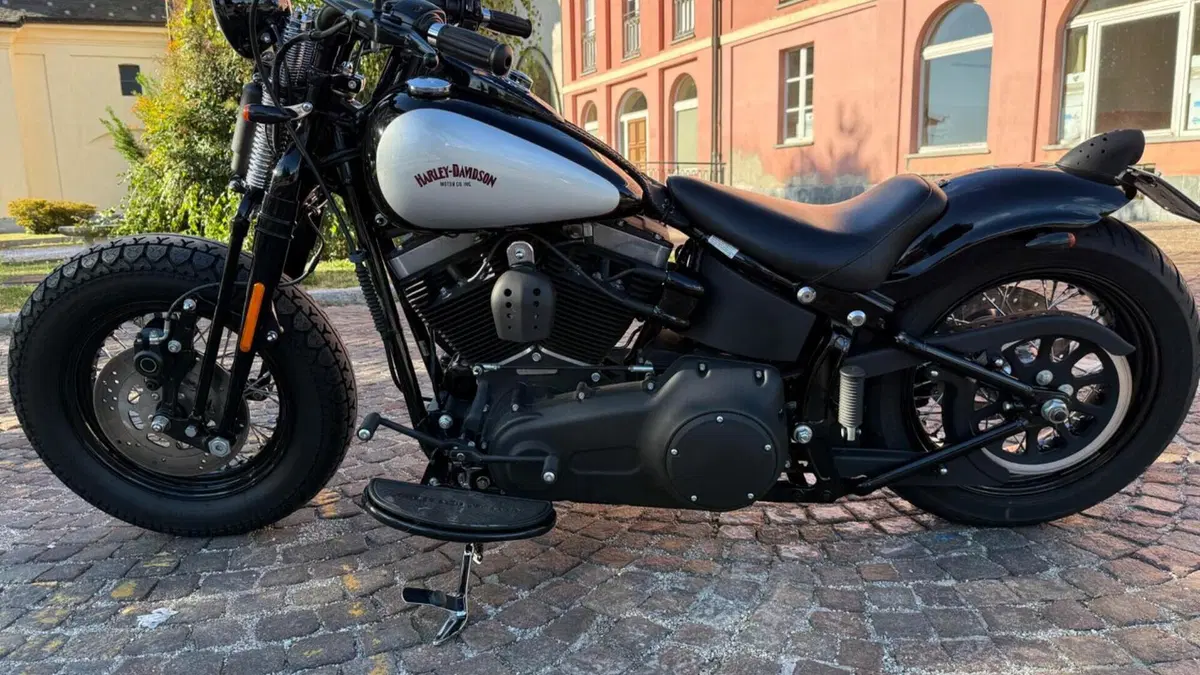 Harley-Davidson 1584 Cross Bones (2008 - 11) - FLSTSB  (12)