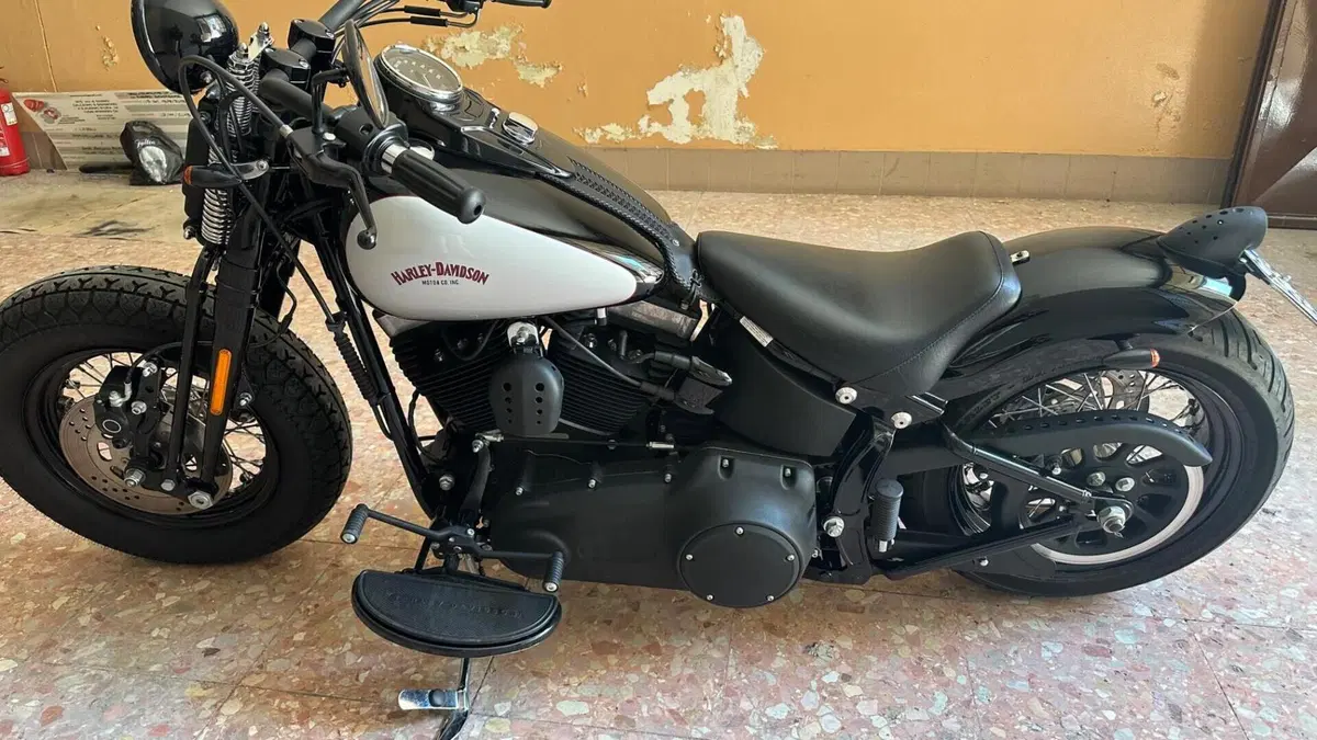 Harley-Davidson 1584 Cross Bones (2008 - 11) - FLSTSB  (13)