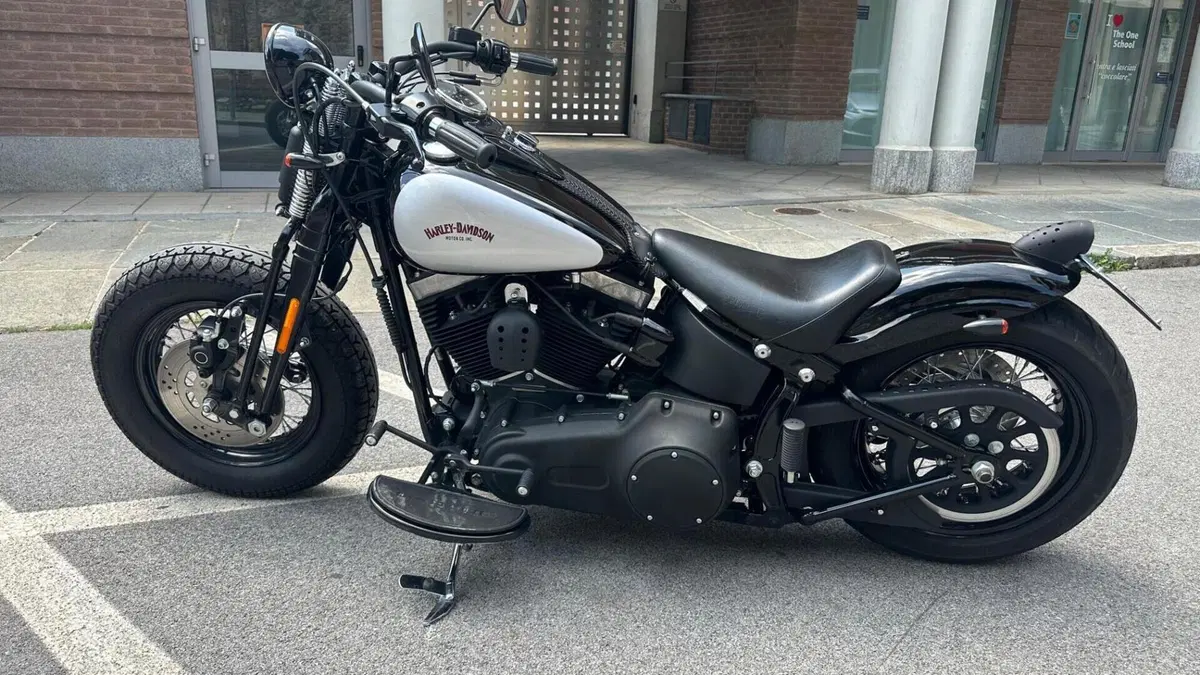 Harley-Davidson 1584 Cross Bones (2008 - 11) - FLSTSB 