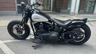 Harley-Davidson 1584 Cross Bones (2008 - 11) - FLSTSB usata