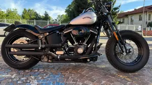 Harley-Davidson 1584 Cross Bones (2008 - 11) - FLSTSB  (3)
