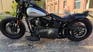 Harley-Davidson 1584 Cross Bones (2008 - 11) - FLSTSB  (5)