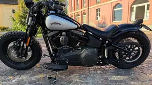Harley-Davidson 1584 Cross Bones (2008 - 11) - FLSTSB  (7)