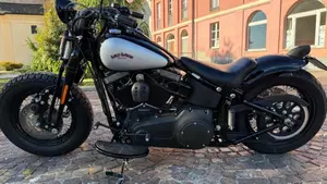 Harley-Davidson 1584 Cross Bones (2008 - 11) - FLSTSB  (11)