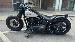 Harley-Davidson 1584 Cross Bones (2008 - 11) - FLSTSB  (14)