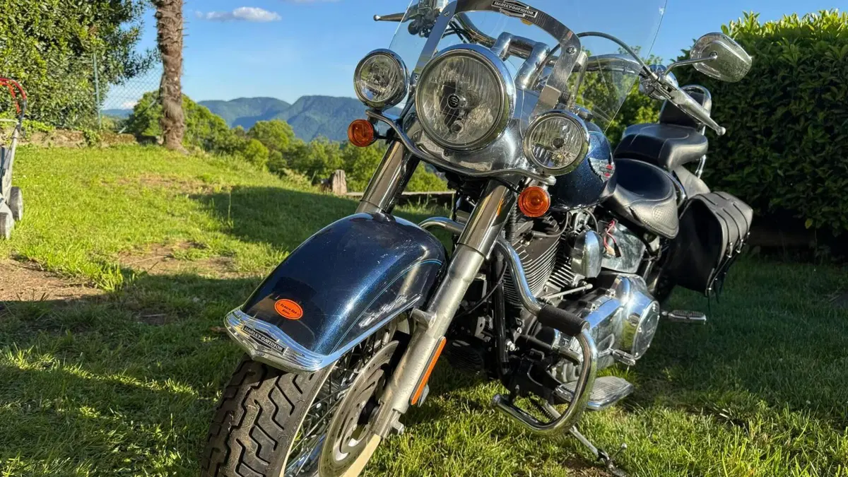Harley-Davidson 1690 Deluxe ABS (2011 - 16) - FLSTN 
