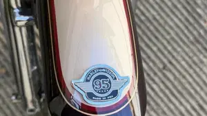Harley-Davidson 1200 Custom (1995 - 00) - XL 1200C  (6)