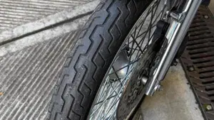 Harley-Davidson 1200 Custom (1995 - 00) - XL 1200C  (13)