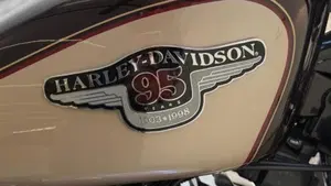 Harley-Davidson 1200 Custom (1995 - 00) - XL 1200C  (14)
