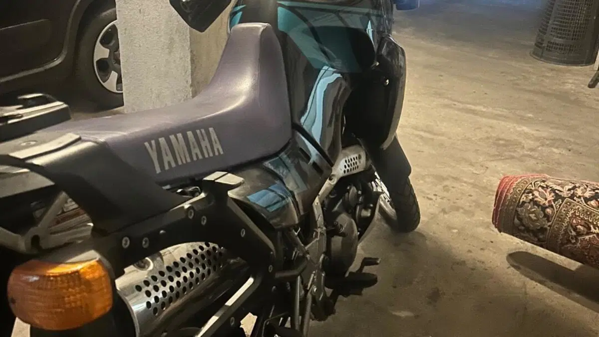 Yamaha   (5)