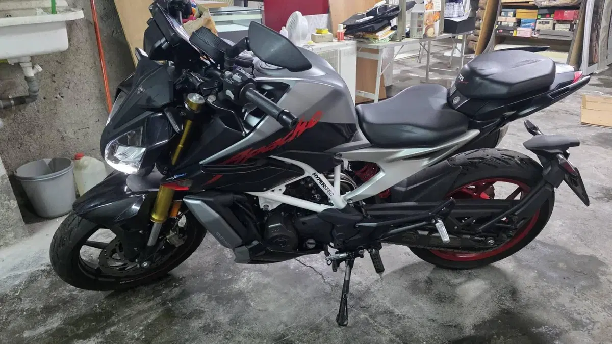 TVS Motor RTR 310 Plus (2024 - 26)  (3)