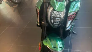 Ducati Diavel for Bentley (2024)  (2)