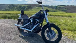 Harley-Davidson 1584 Street Bob (2008 - 15) - FXDB  (2)