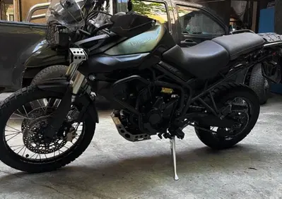 Triumph Tiger 800 (2010 - 14) - Annuncio 10017916