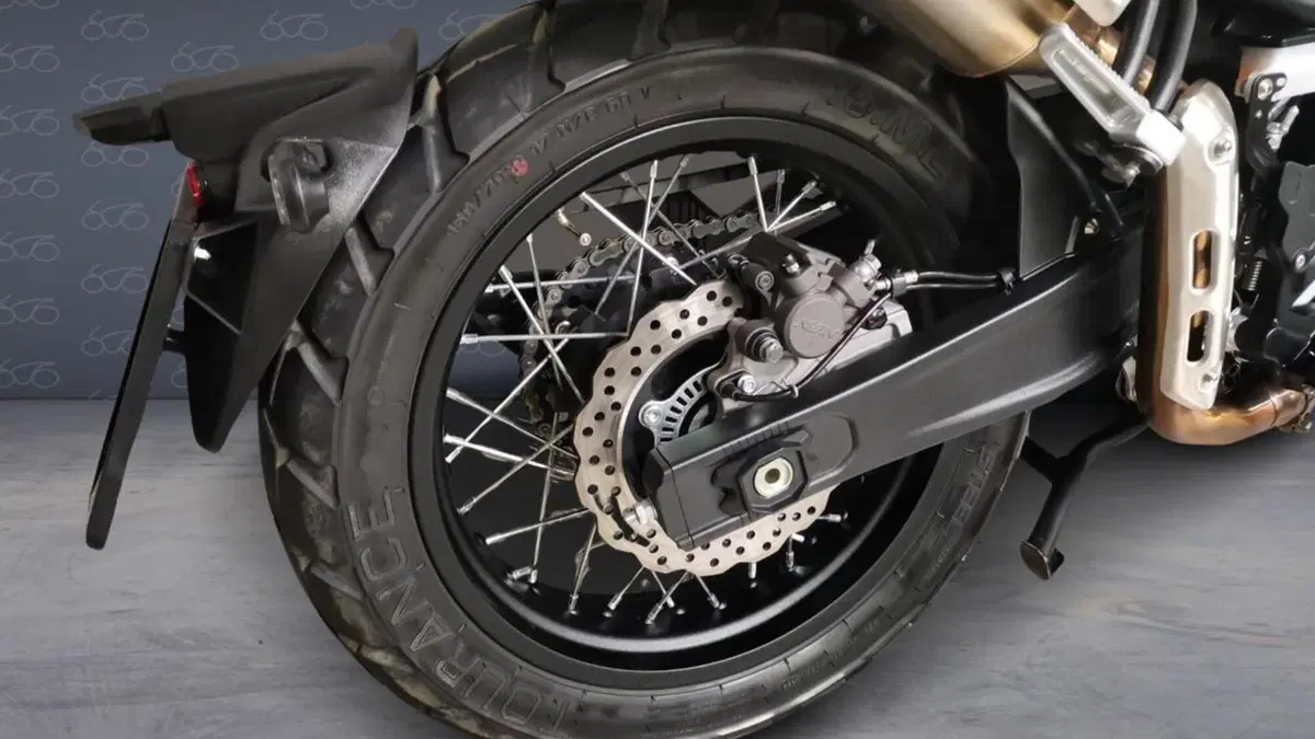 Voge Trofeo 525ACX Scrambler (2023 - 26)  (6)