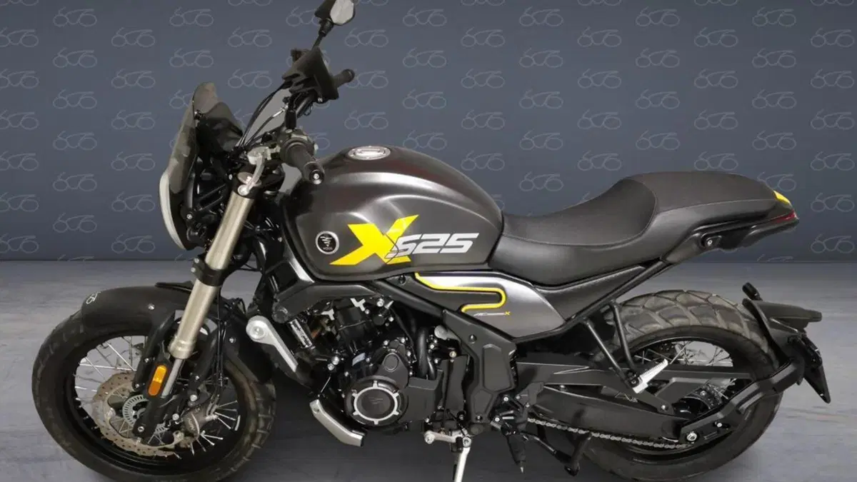 Voge Trofeo 525ACX Scrambler (2023 - 26)  (3)