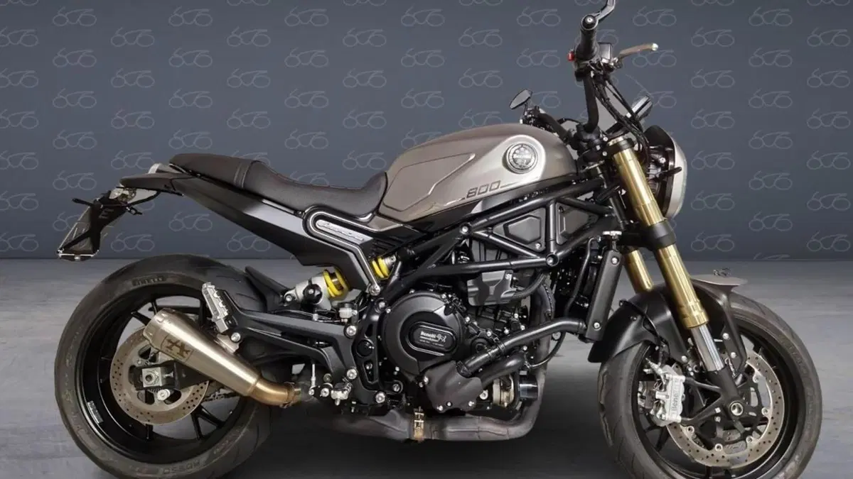 Benelli Leoncino 800 (2022 - 26) 