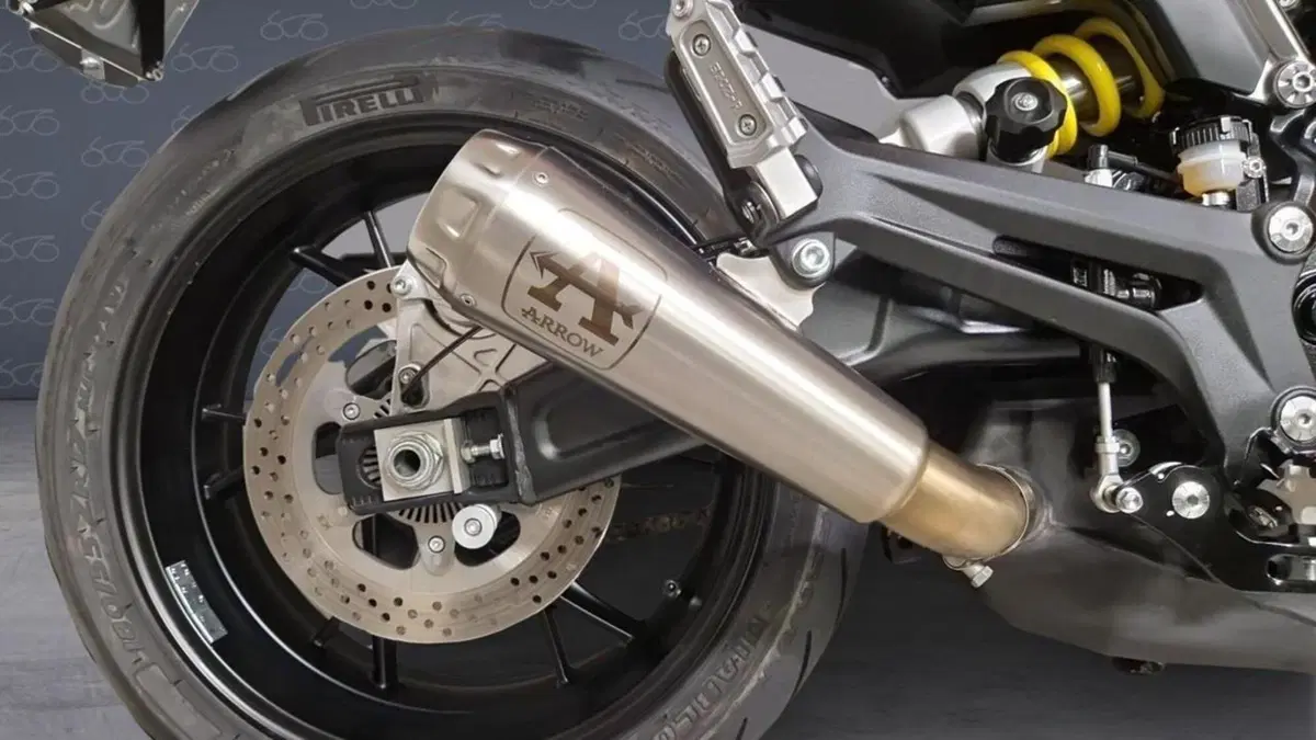 Benelli Leoncino 800 (2022 - 26)  (4)