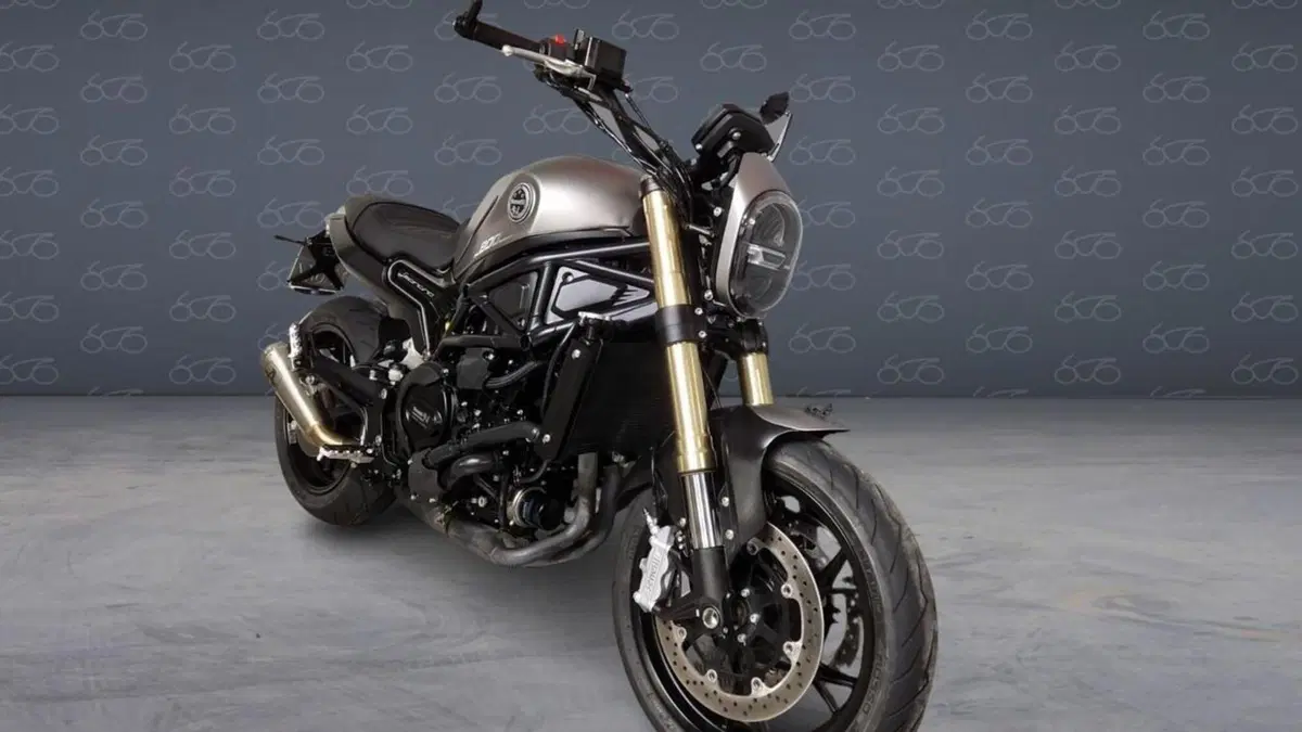 Benelli Leoncino 800 (2022 - 26)  (2)