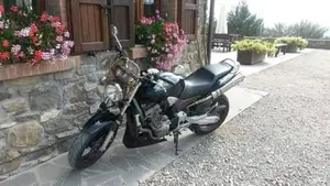 Honda Hornet 900  (3)